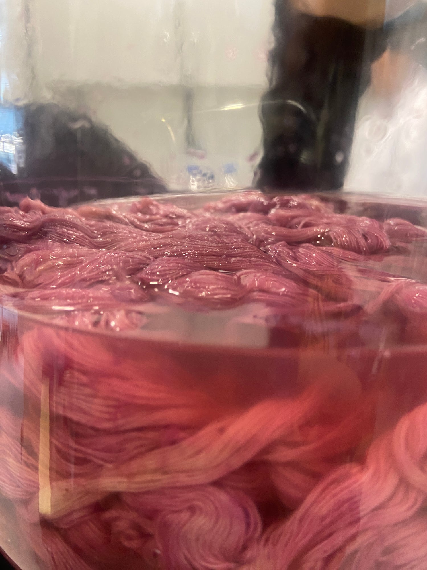 Yarn being naturally dyed pink using invasive plants